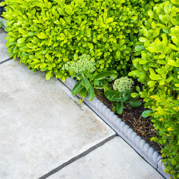 EAST LONDON VICTORIAN FRONT GARDEN DESIGN