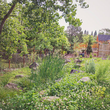 Constructed Wetland