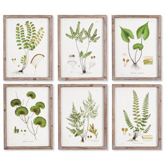 Botanical Study Leaf Berry Flower Wall Art Gold Frame Set Of 6 ~ Uttermost  33651