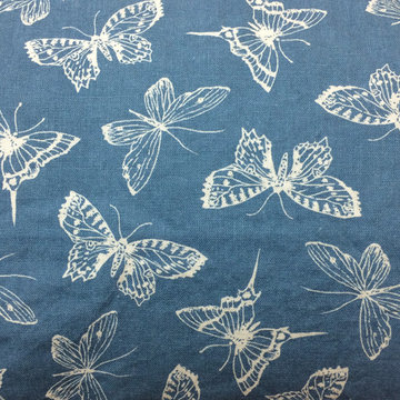 BLI-CV-TOILE-BTRFLS