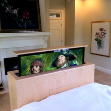 TV IDEAS