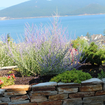 Anacortes Wa backyard