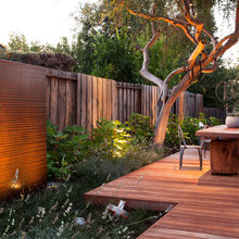 Backyard - Favorites