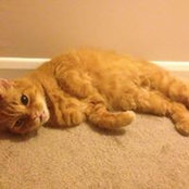 Karen Derrick's photo