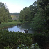 Allison Cantor's photo