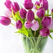 Barbara Jones's photo