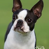Karri Bestul's photo