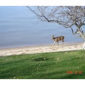 Ginette Poliquin's photo