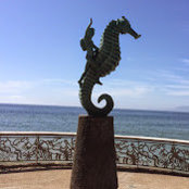 Juan Martinez's photo