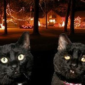 Marilyn Rieser's photo