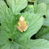 Andrew Nelson's photo