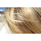 Susanne Bauer's photo