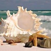 Maureen Walker's photo