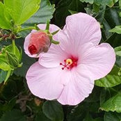 Nancy Deimling's photo