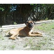 Brian Adams's photo