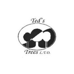 TED'S TREES LTD