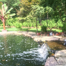 ponds