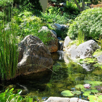 Japanese House & Garden