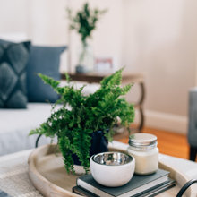 Boston Living room