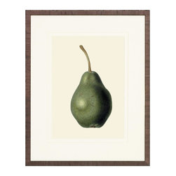 Pear Art Prints - Fine Art Prints