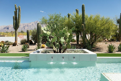 Inspiration for a retro swimming pool in Phoenix.
