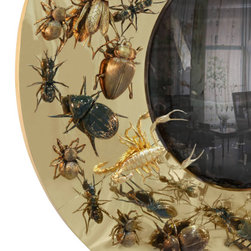 CONVEX METAMORPHOSIS Mirror - Wall Mirrors