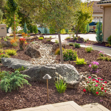 Premier Landscape Design
