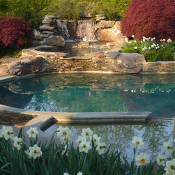 Swimming Pools - Products