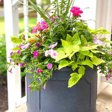 Summer Containers