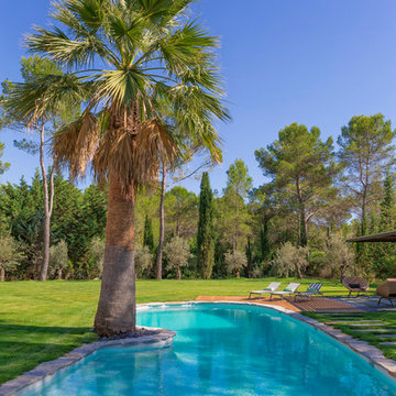 Piscine a forme libre