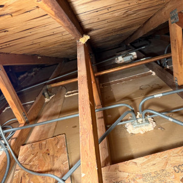 Mold Remediation Service in Attic