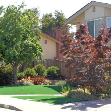 Synthetic Lawns