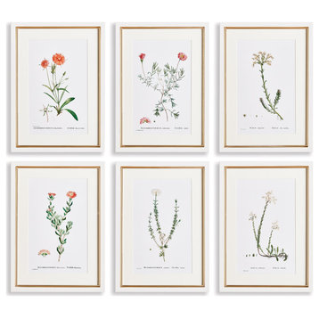 Flower Studies In Shades Of Blush Gallery, Set of 6