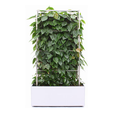 PLANT-ED-WALL™ Pflanzen-Paravent / Grüner Raumteiler