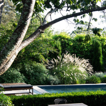 Wahroonga - Pool + Garden