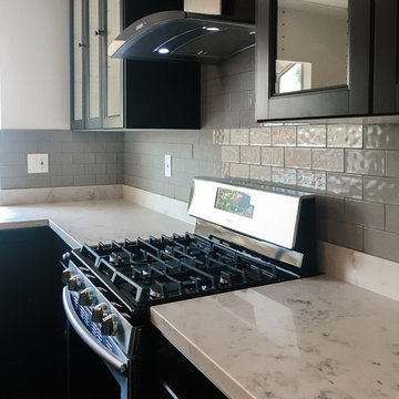 Baldwin Hills Kitchen Renovation