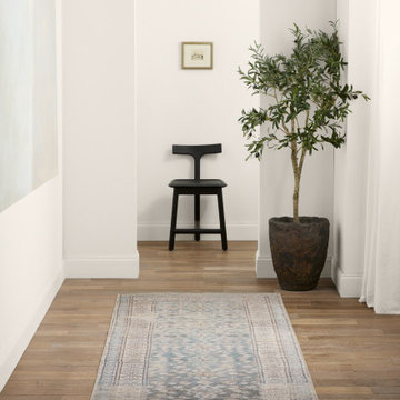 CAN01 | RUG154731
