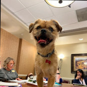 Amy Goeglein's photo
