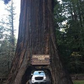 Brett Gallagher's photo