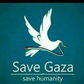 Sadeq Mohammed's photo