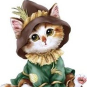Foto von Eng-Marwa Hamdy