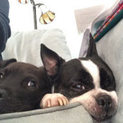 Foto von Linda DeBow