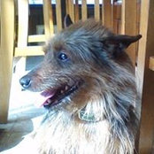 Foto von Cheryl Stoltz Schmidt