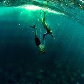 Autumn Schur's photo
