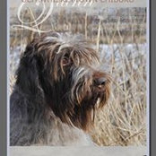 Joyce Tucker's photo