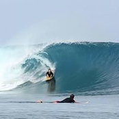 Ryan Gibsons foto