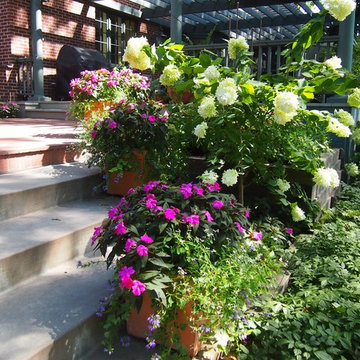 Charming Park-Like Backyard