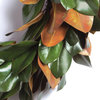 Magnolia Leaf 24" Wreath