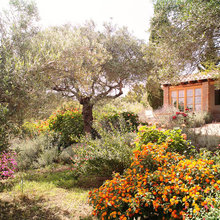 jardín