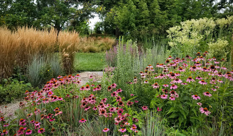 20 Favorite Flowers for the Fall Landscape